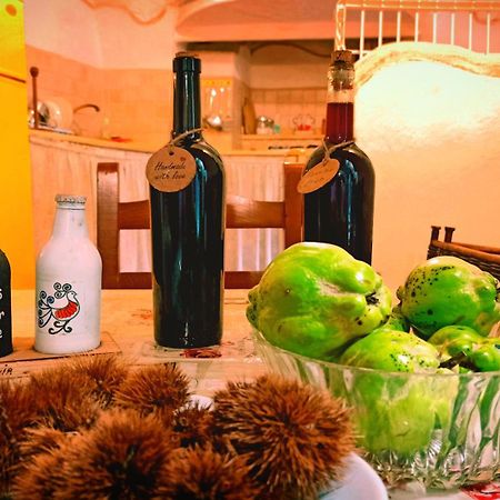 Casa Ele - Casa Indipendente Con Cucina - Bikes Friendly Διαμέρισμα Σάσαρι Εξωτερικό φωτογραφία