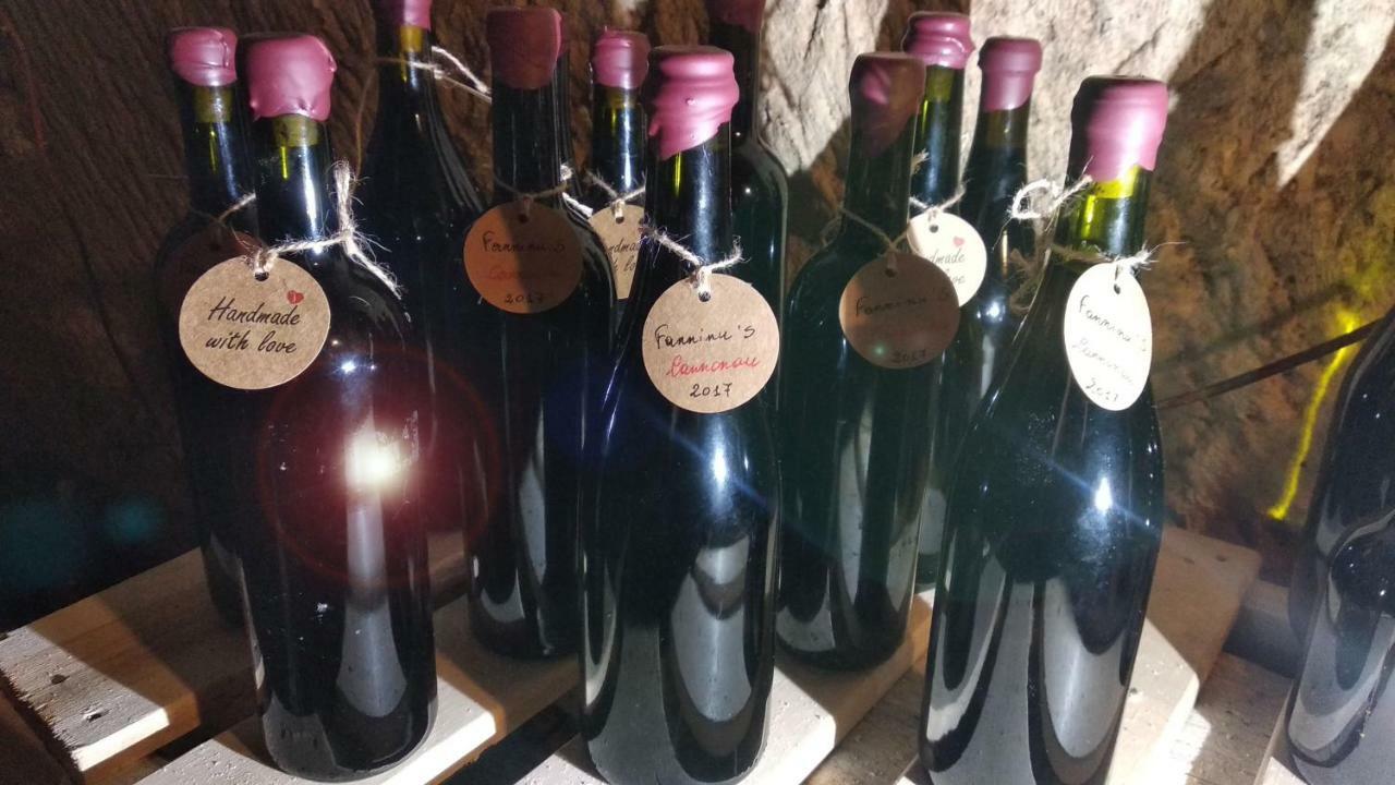 Casa Ele - The Alchemist'S House - Bikes Friendly - Σάσαρι Εξωτερικό φωτογραφία